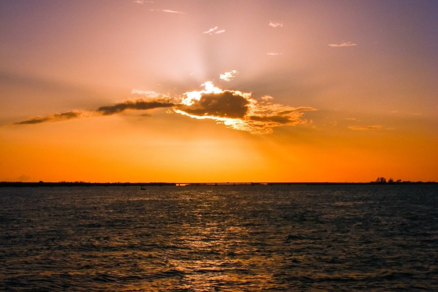 cape coral summer