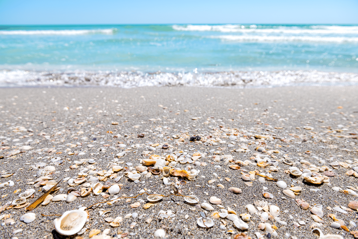 are dogs allowed on sanibel island beaches