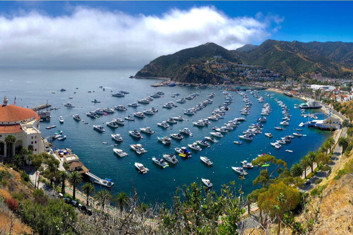 Boating to Catalina Island Everything You Need to Know Boatsetter