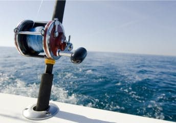 Fishing in Naples, FL Guide