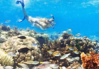 Snorkeling spots in Miami