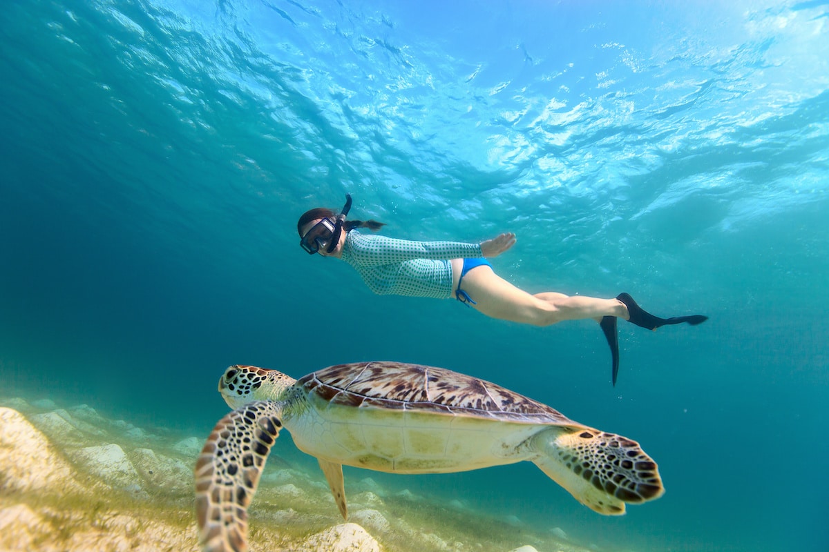 snorkeling tours fort myers beach