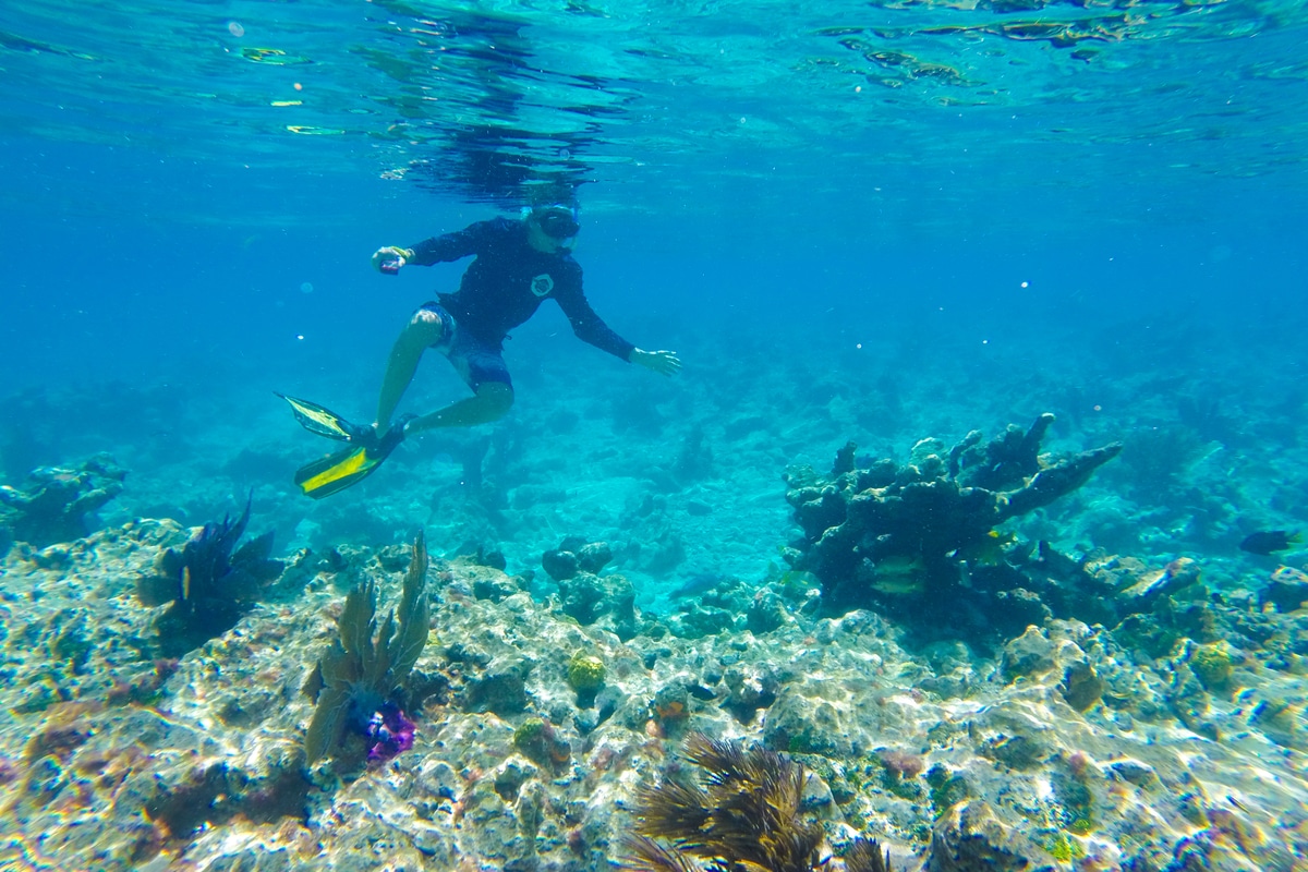 Tampa Bay Snorkeling Guide | Boatsetter