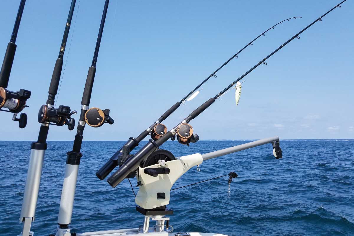 Lake Michigan Fishing Guide Species, Fishing Spots, and More