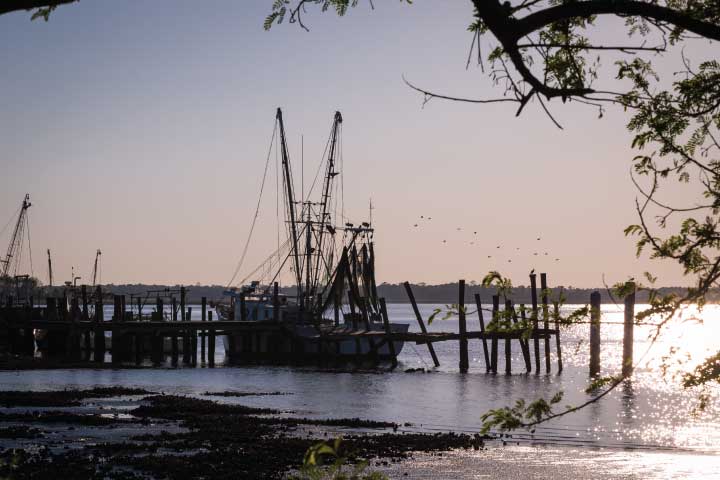 Shrimp Boats in Jacksonville, Florida.