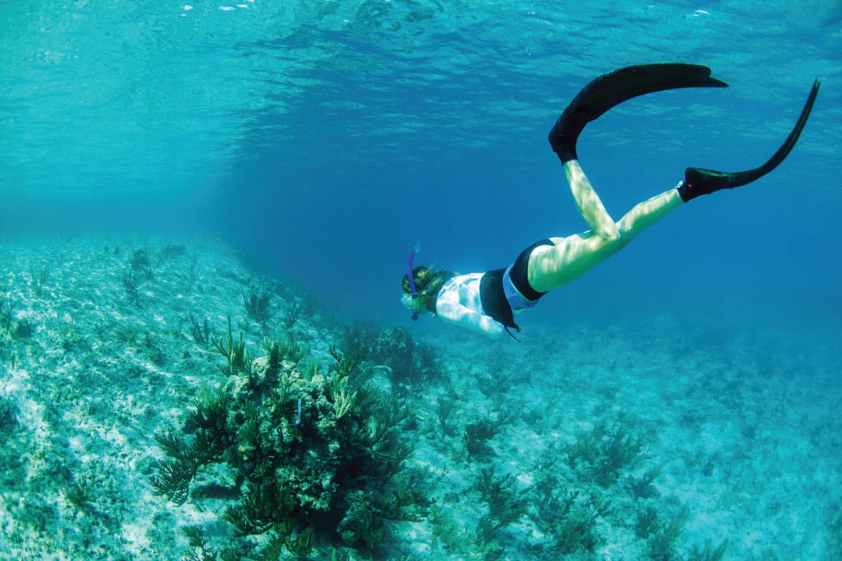 Top 7 Islamorada Snorkeling Spots Boatsetter