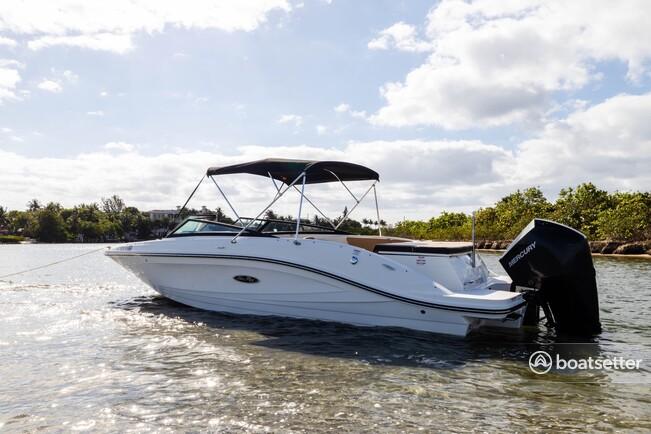 Sleek & Stylish 23ft SeaRay: Your Dream Cruiser Awaits! 