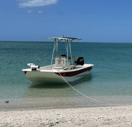 Sun and beach inshore fun up to 6 passengers chartered