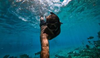 snorkeling delray beach