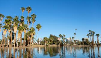 Fishing Local Lake Phoenix