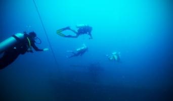 diving in delray beach