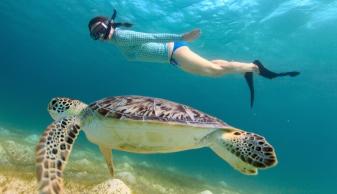 snorkeling panama city beach