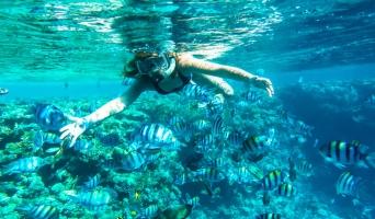 snorkeling key largo