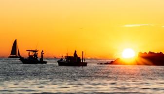 gulf of mexico fishing