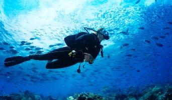 scuba diving key largo