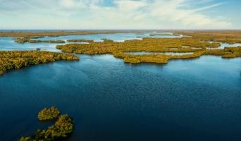 Ten Thousand Islands