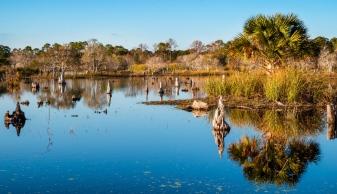 Saint Andrews State Park