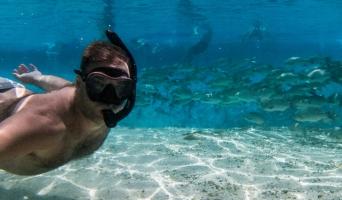 snorkeling naples