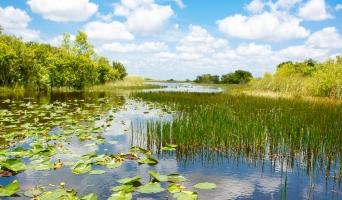 Everglades National Park