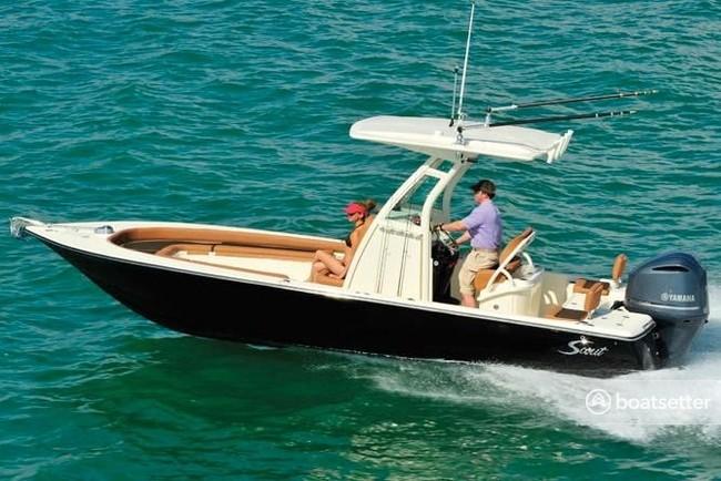 Scout 251XS - Cruise, fish, sandbar hop in Sarasota