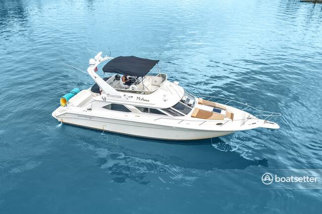 Miami Beach Sea Ray 48 Special Promo for February - 13 people 